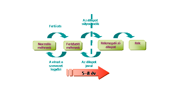 HPV diagnosztika